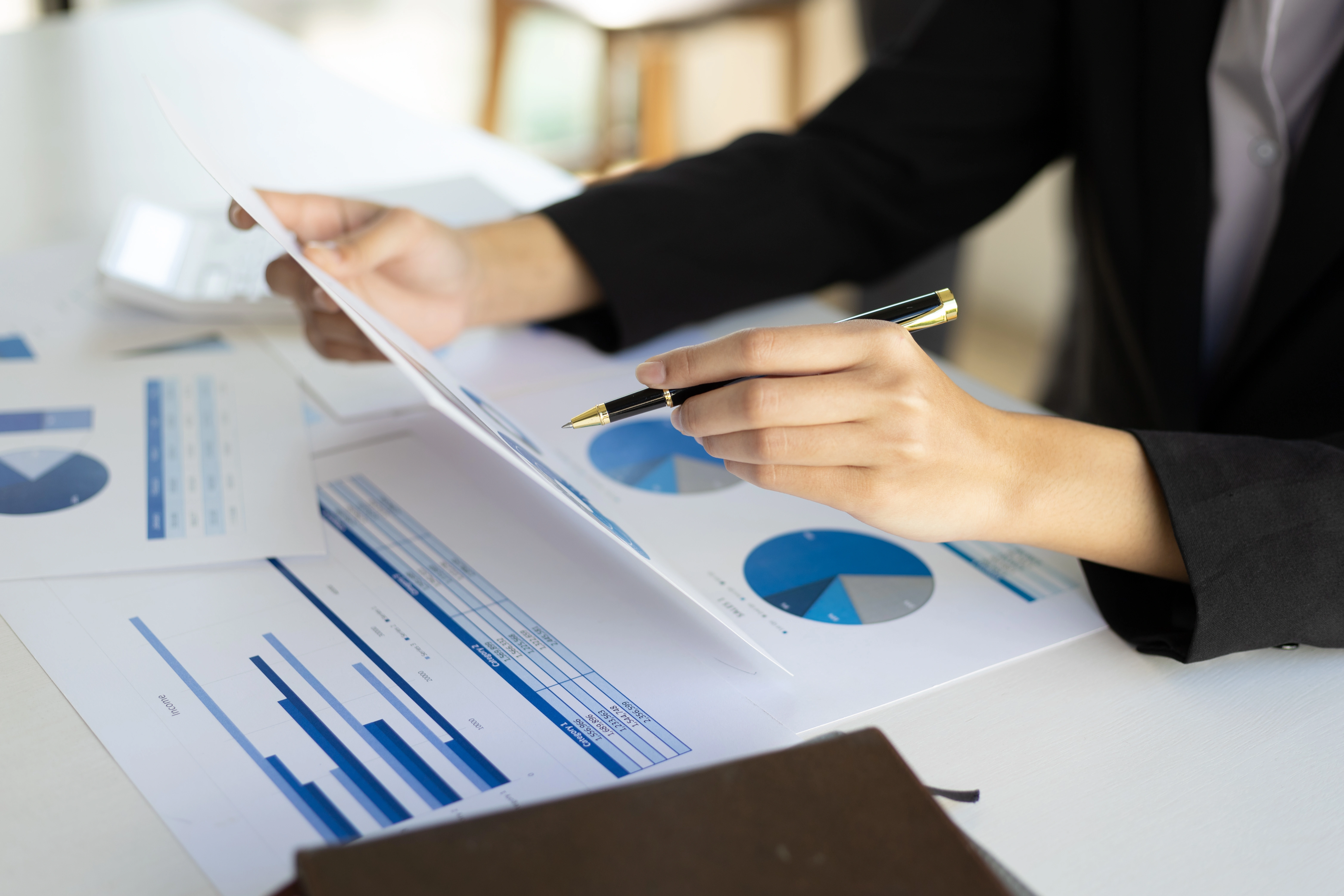 Investor Data Room and Secure Document Management